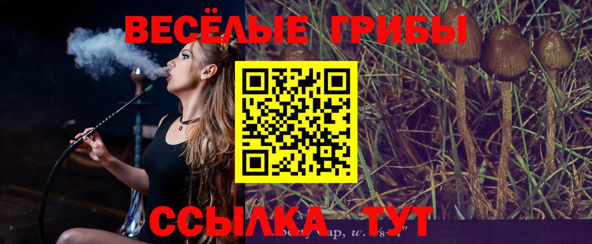Псилоцибиновые грибы Cubensis  Псилоцибиновые грибы Cubensis  Холмск  Вход с VPN 